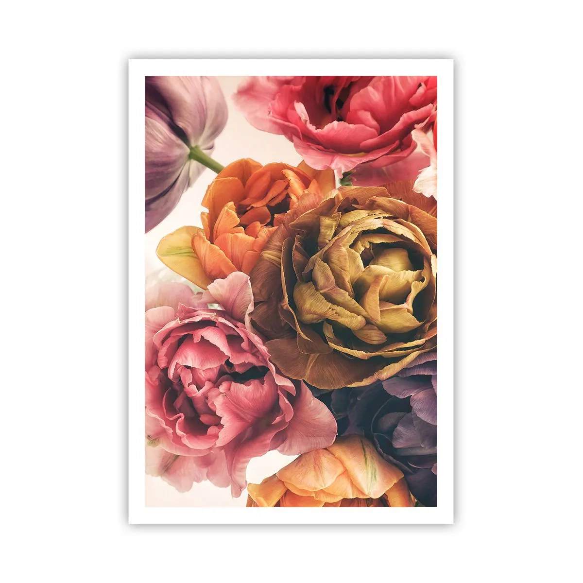 Poster - La festa della vita - 70x100 cm