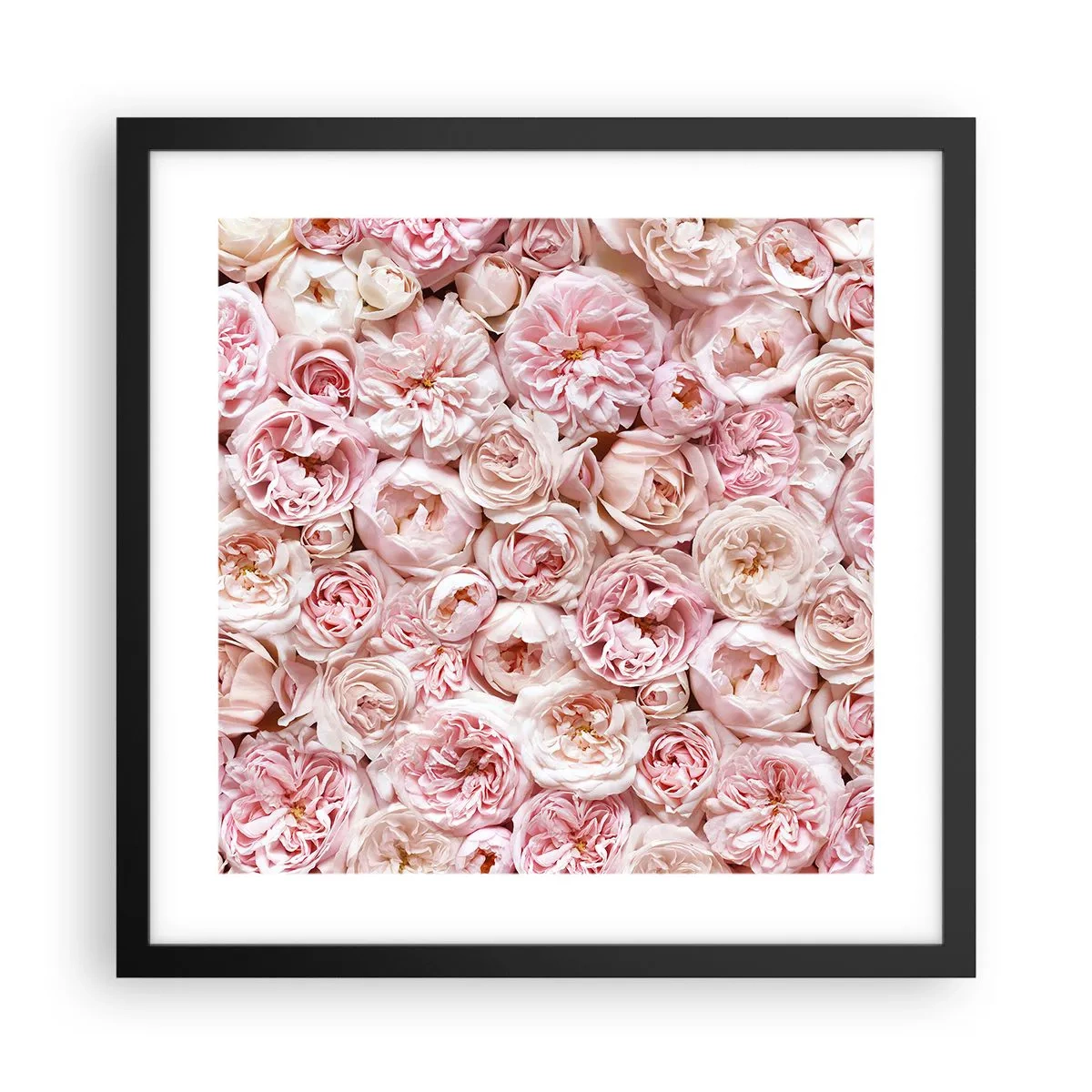 Poster in cornice nera - Coperto di rose - 40x40 cm