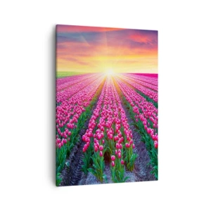 Quadro su tela - Stampe su Tela - Un campo di tulipani al tramonto - 50x70cm - La fattoria della bellezza - Decorazione murale moderna per soggiorno e camera da letto ARTTOR