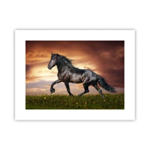 Poster - Il principe nero - 40x30 cm