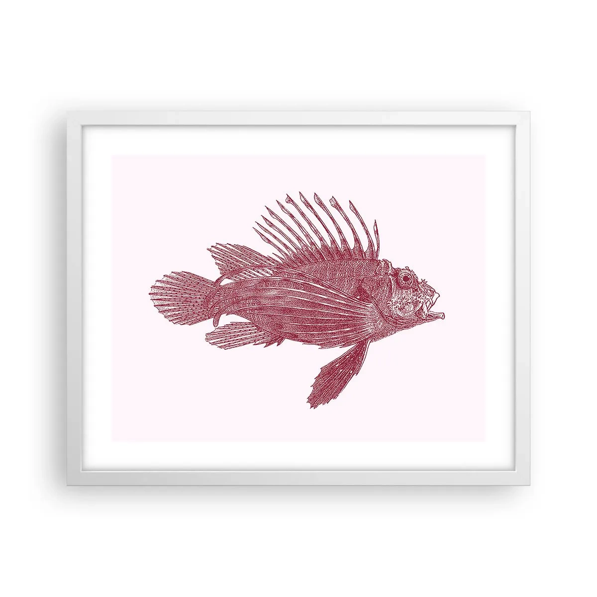 Poster in cornice bianca - Abitante di mari esotici - 50x40 cm