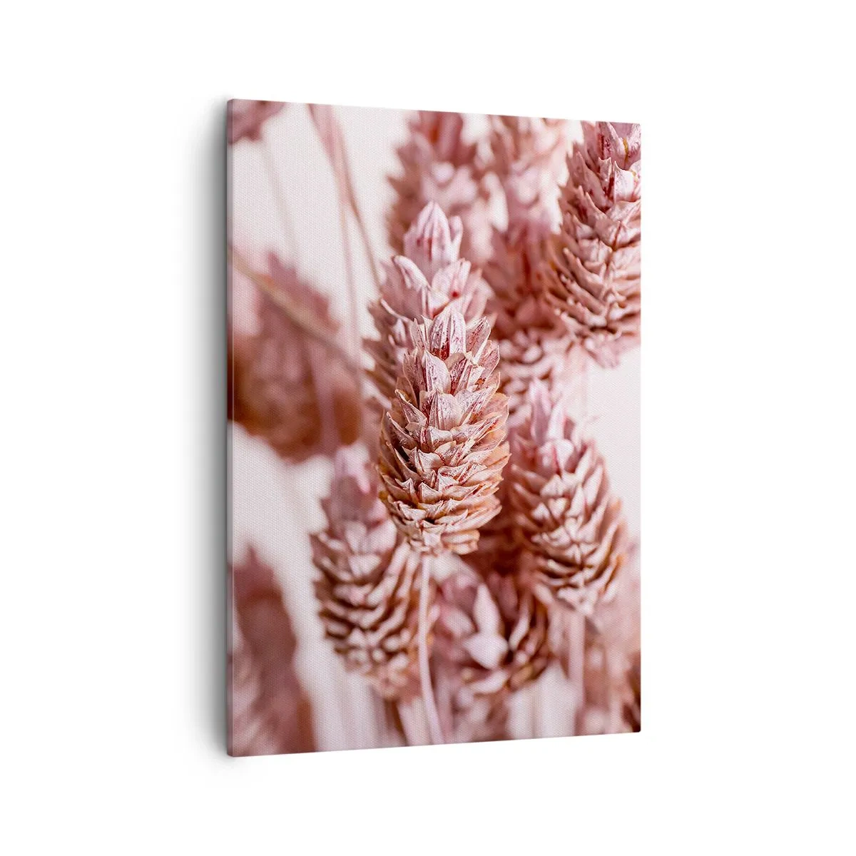 Quadro su tela - Stampe su Tela - Un primo piano delle delicate spighe rosa delle erbe ornamentali - 50x70cm - A prima vista poco appariscenti - Decorazione murale moderna per soggiorno e camera da letto ARTTOR