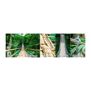 Campione Di Fotomurale Standard Eco - Ponte sospeso sopra il verde - Paesaggio, Giungla, Filippine - 100x30 cm