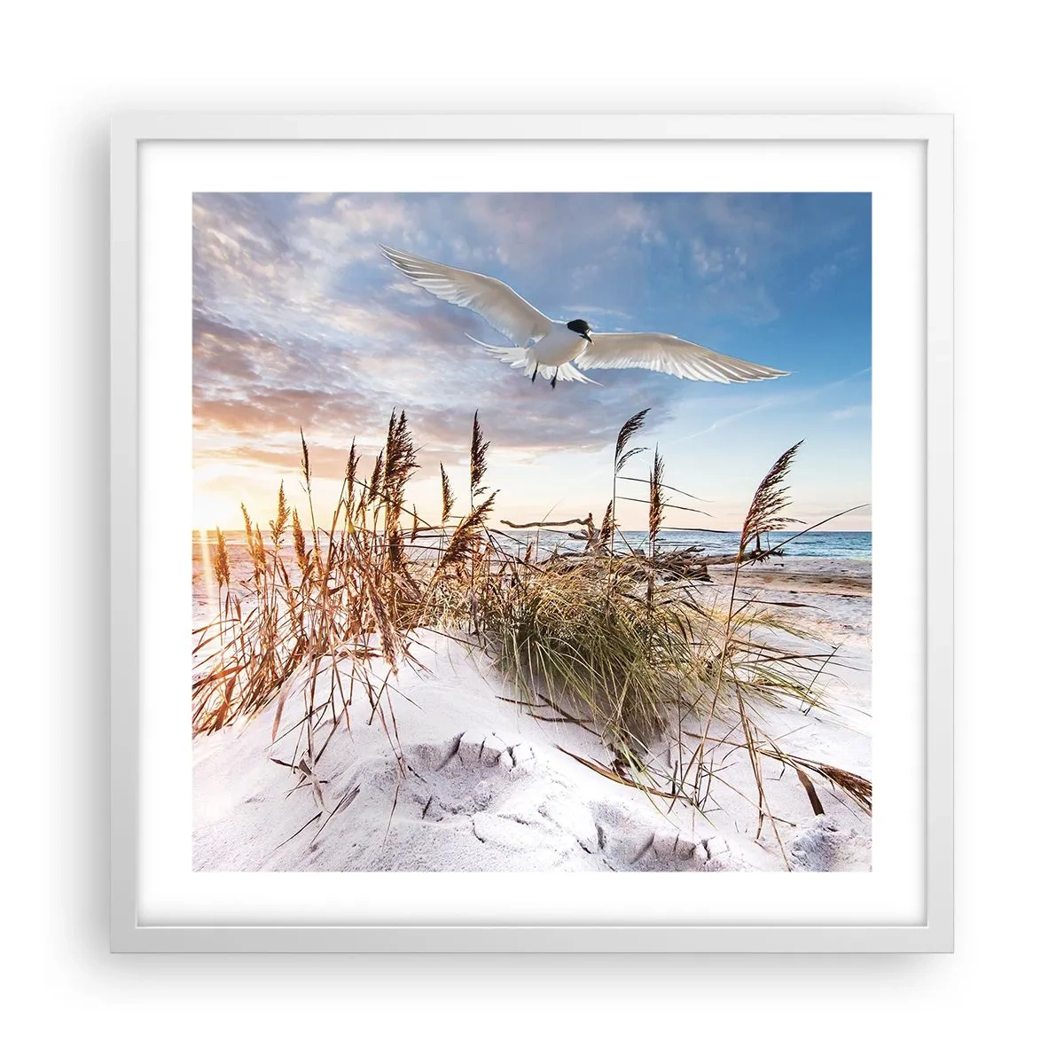 Poster in cornice bianca - Vento dal mare - 50x50 cm