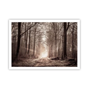Poster - Un sentiero nel bosco tra alberi color seppia - 100x70cm - La cattedrale del bosco - Decorazione murale moderna per soggiorno e camera da letto ARTTOR