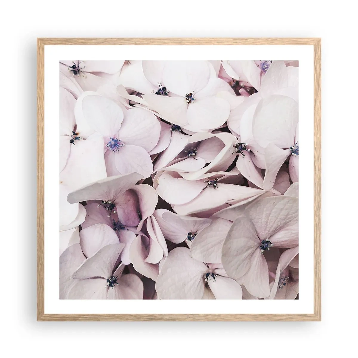 Poster in cornice rovere chiaro - Un'alluvione di fiori - 60x60 cm