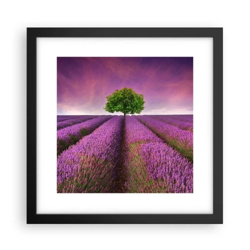 Poster in cornice nera - Sui campi di lavanda - 30x30 cm