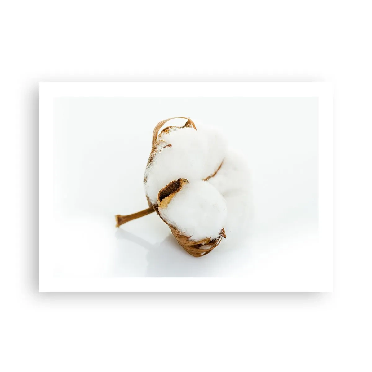 Poster - Naturalmente morbido - 70x50 cm