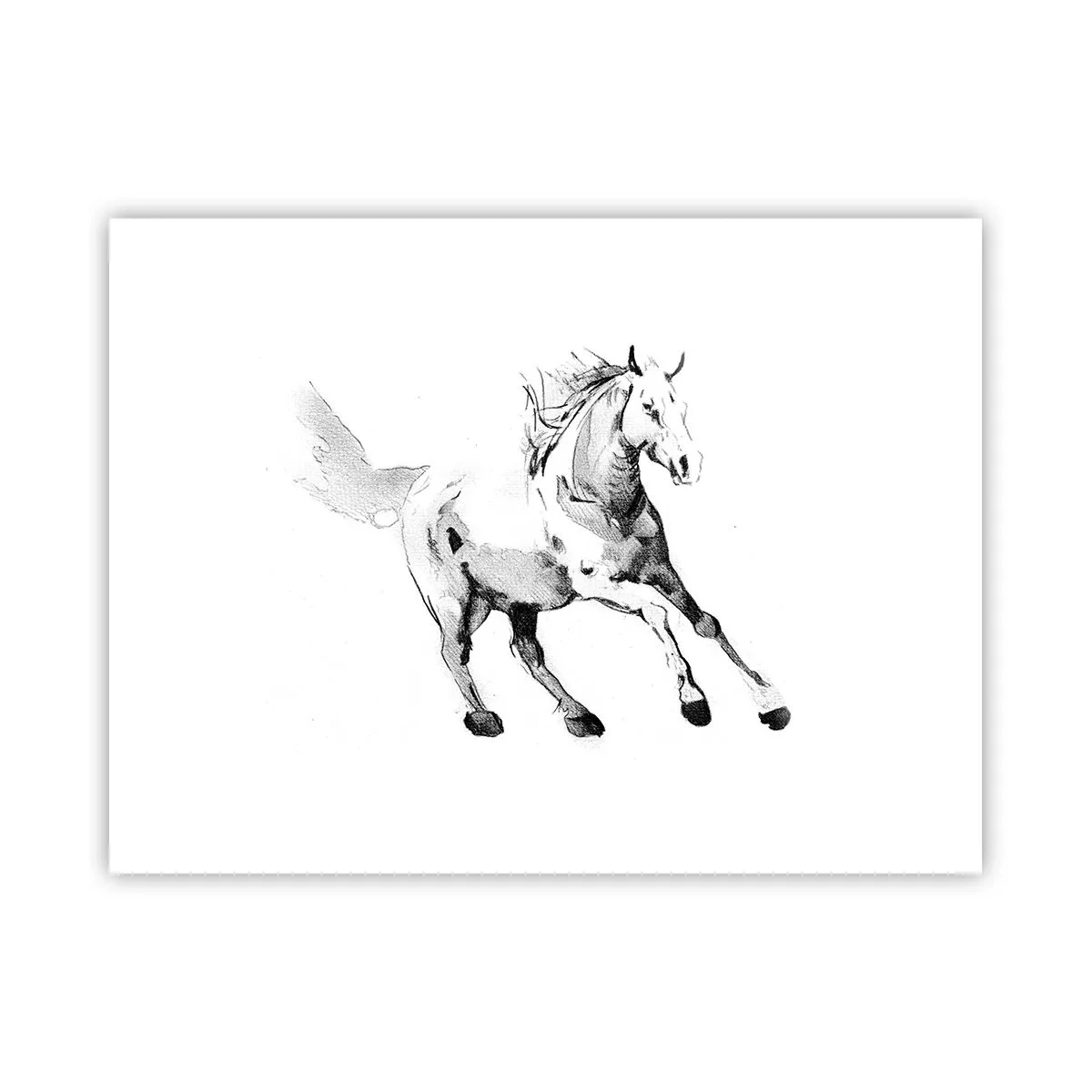 Poster - Anima indomabile - 40x30 cm