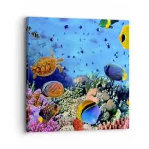Quadro su tela - Stampe su Tela - Ma cosa sappiamo della vita... - 30x30 cm