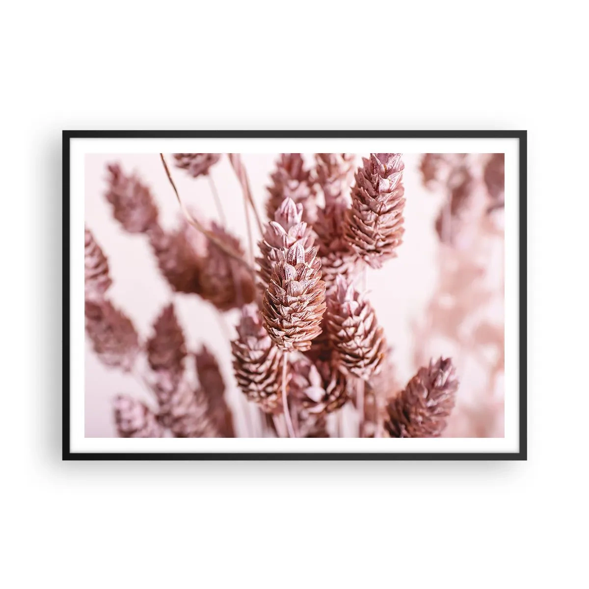 Poster in cornice nera - Un primo piano delle delicate spighe rosa delle erbe ornamentali - 100x70cm - A prima vista poco appariscenti - Decorazione murale moderna per soggiorno e camera da letto ARTTOR