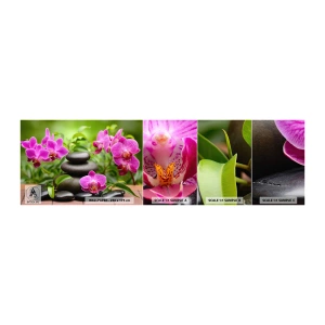 Campione Di Fotomurale Standard Eco - Piramide di pace - Fiori, Orchidea, Orchidea - 100x30 cm