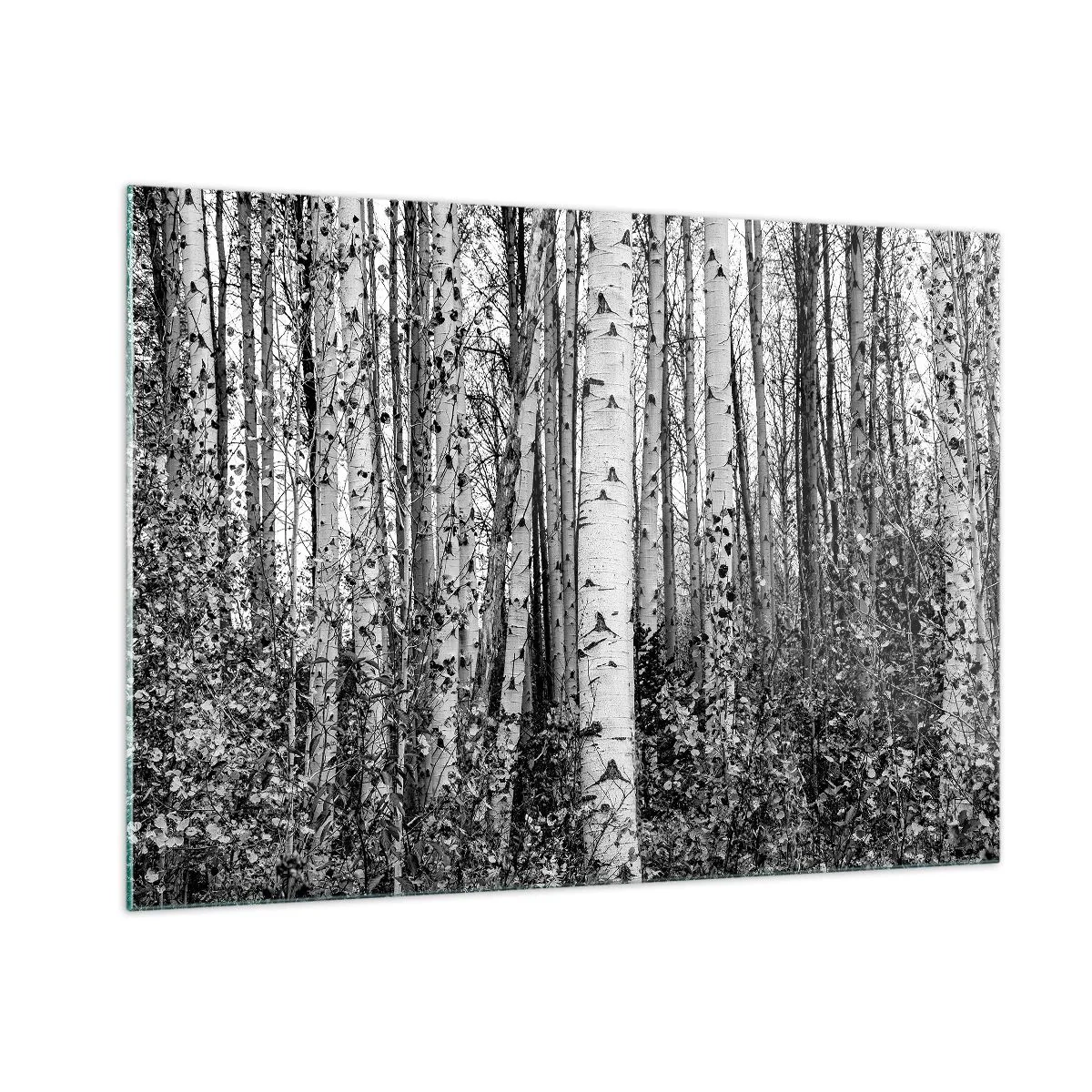 Quadro su vetro - Betulle bianche e nere creano un paesaggio forestale denso - 100x70cm - Colonnato di betulle - Decorazione murale moderna per soggiorno e camera da letto ARTTOR