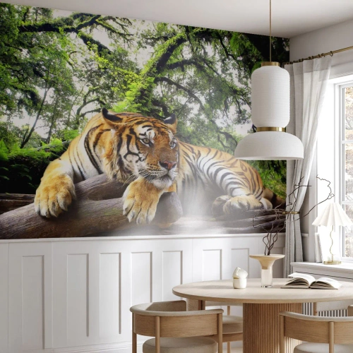 Fotomurali Premium Sand - Con espressioni di stima - Tigre, Animali, Predatore - 200x140 cm