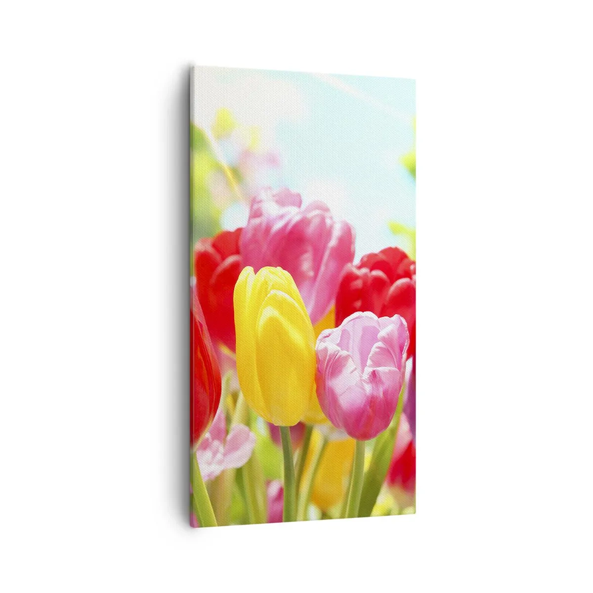 Quadro su tela - Stampe su Tela - Eccoci, i colori di maggio! - 55x100 cm