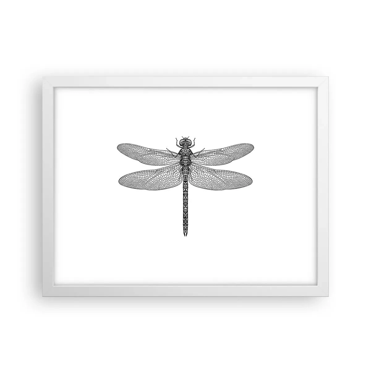 Poster in cornice bianca - La precisione della natura - 40x30 cm