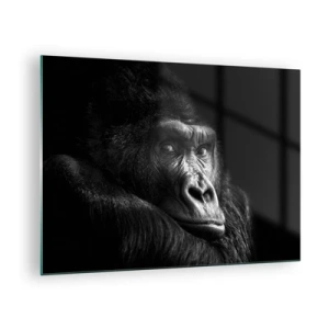 Quadro su vetro - Ritratto in bianco e nero di un gorilla all'ombra di una finestra - 70x50cm - E cosa guardi? - Decorazione murale moderna per soggiorno e camera da letto ARTTOR
