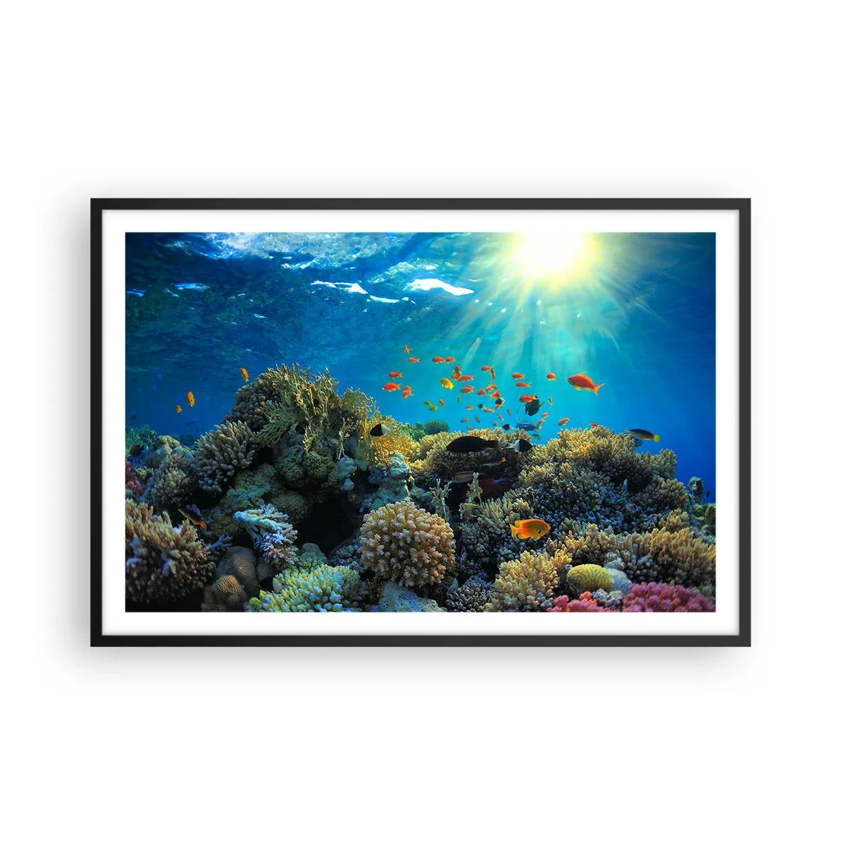 Poster in cornice nera - Tesori sotto al mare - 91x61 cm