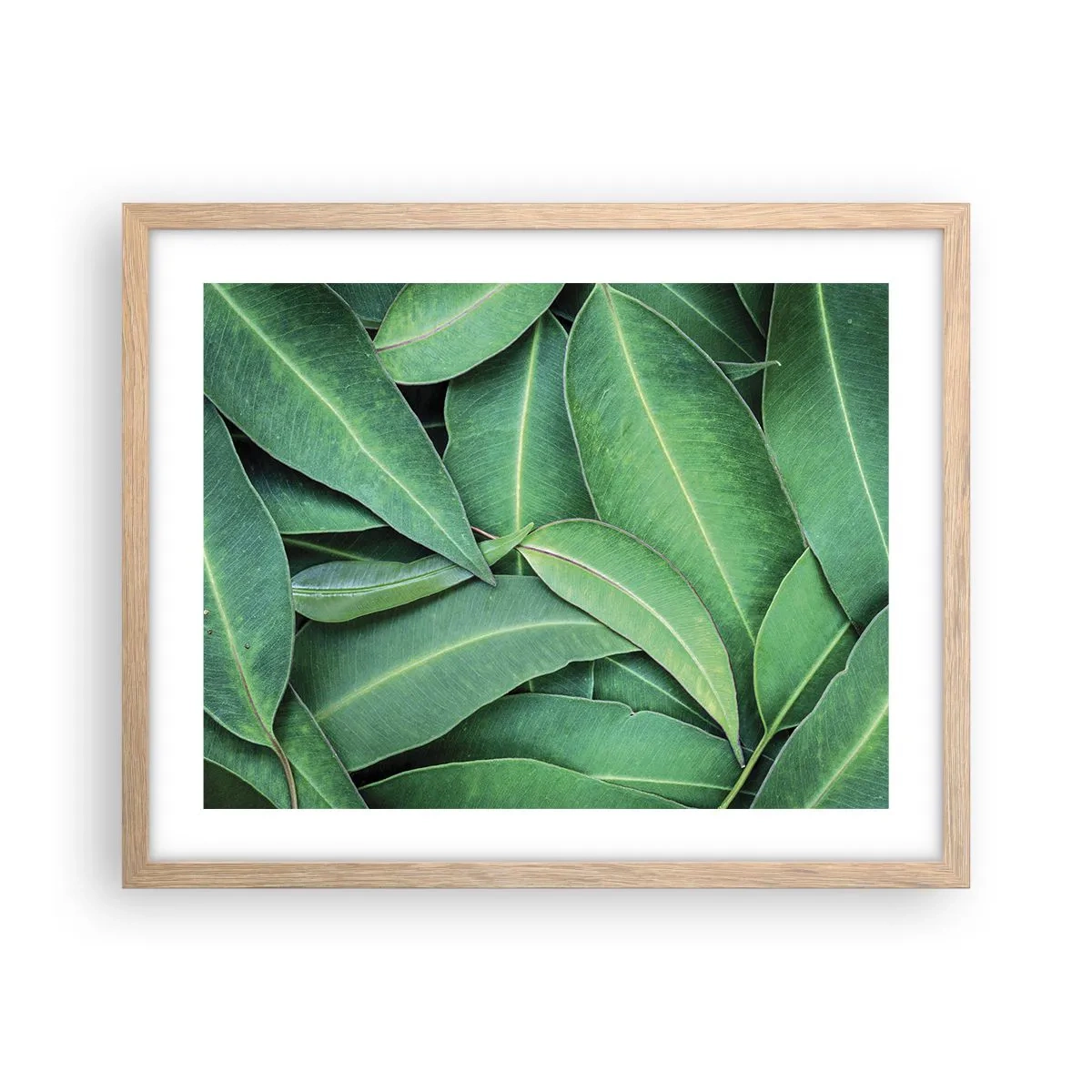Poster in cornice rovere chiaro - Succosi e freschi - 50x40 cm