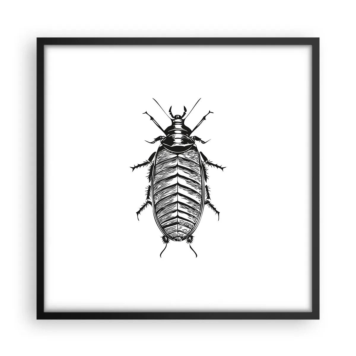 Poster in cornice nera - Che esemplare! - 50x50 cm