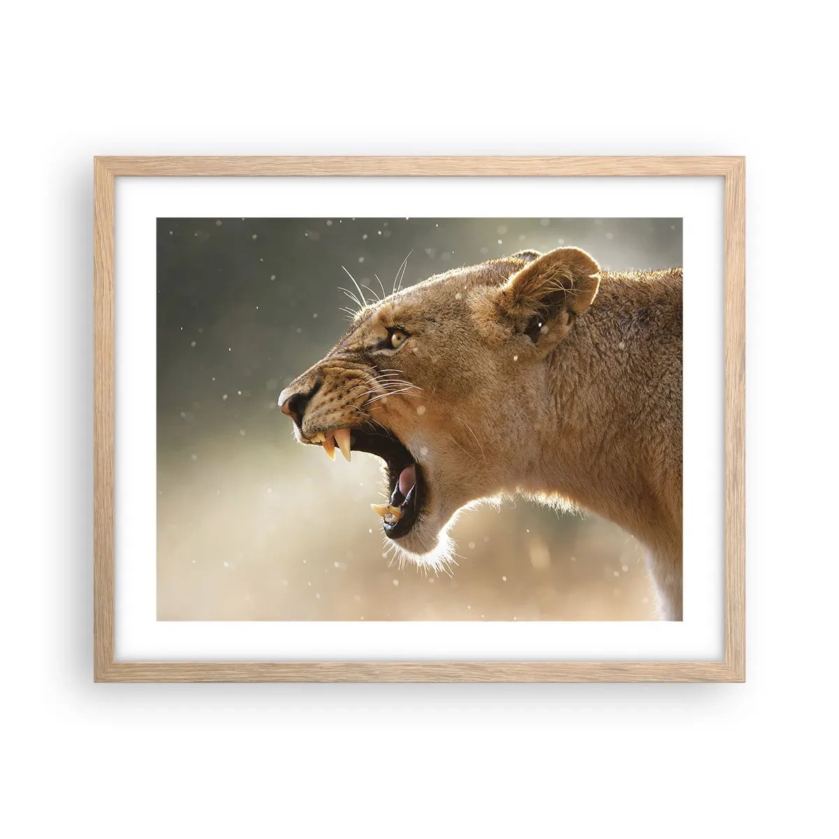 Poster in cornice rovere chiaro - Prova a non ascoltare - 50x40 cm