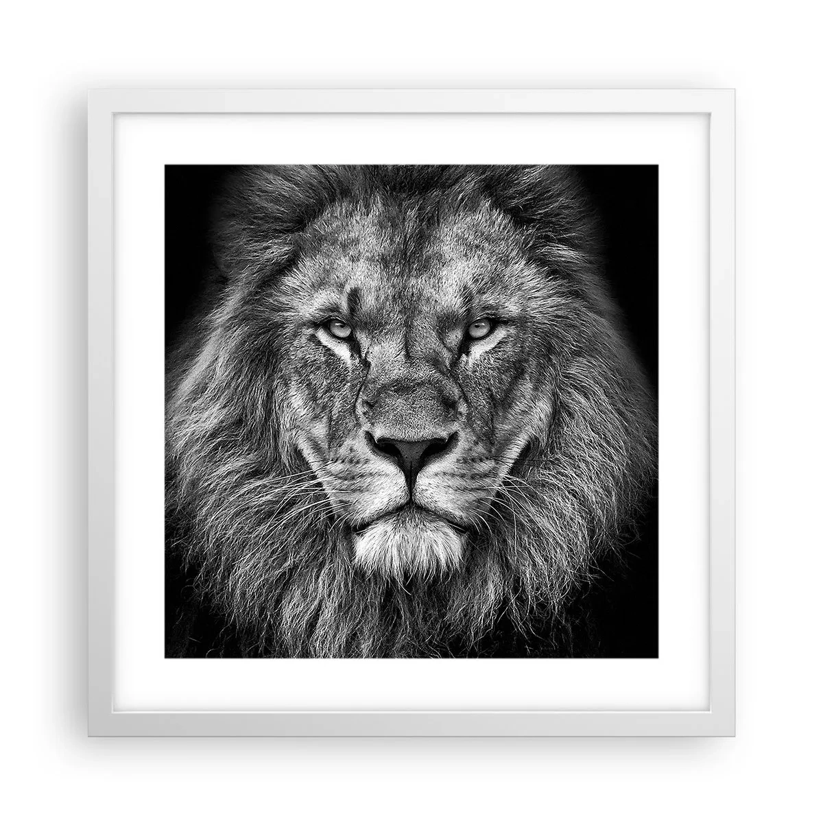 Poster in cornice bianca - Nell'abito dell'incoronazione - 40x40 cm