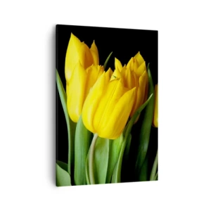 Quadro su tela - Stampe su Tela - Un mazzo di tulipani gialli su sfondo nero - 50x70cm - Fatti di puro sole - Decorazione murale moderna per soggiorno e camera da letto ARTTOR