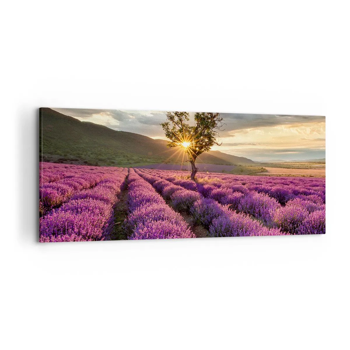 Quadro su tela - Stampe su Tela - Un campo di lavanda con un albero solitario al tramonto - 120x50cm - Aroma di colore lilla - Decorazione murale moderna per soggiorno e camera da letto ARTTOR