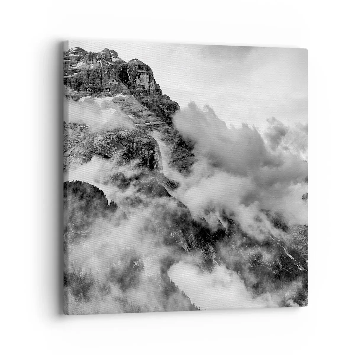 Quadro su tela - Stampe su Tela - Belli e terribili - 40x40 cm