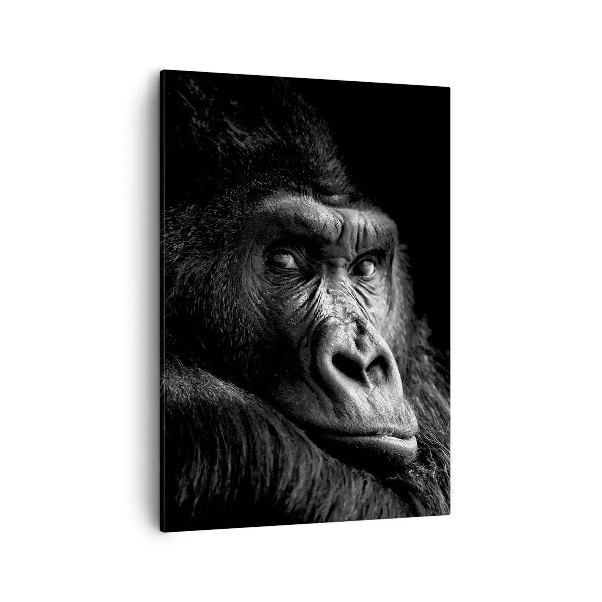 Quadro su tela - Stampe su Tela - Ritratto in bianco e nero di un maestoso gorilla - 50x70cm - E cosa guardi? - Decorazione murale moderna per soggiorno e camera da letto ARTTOR