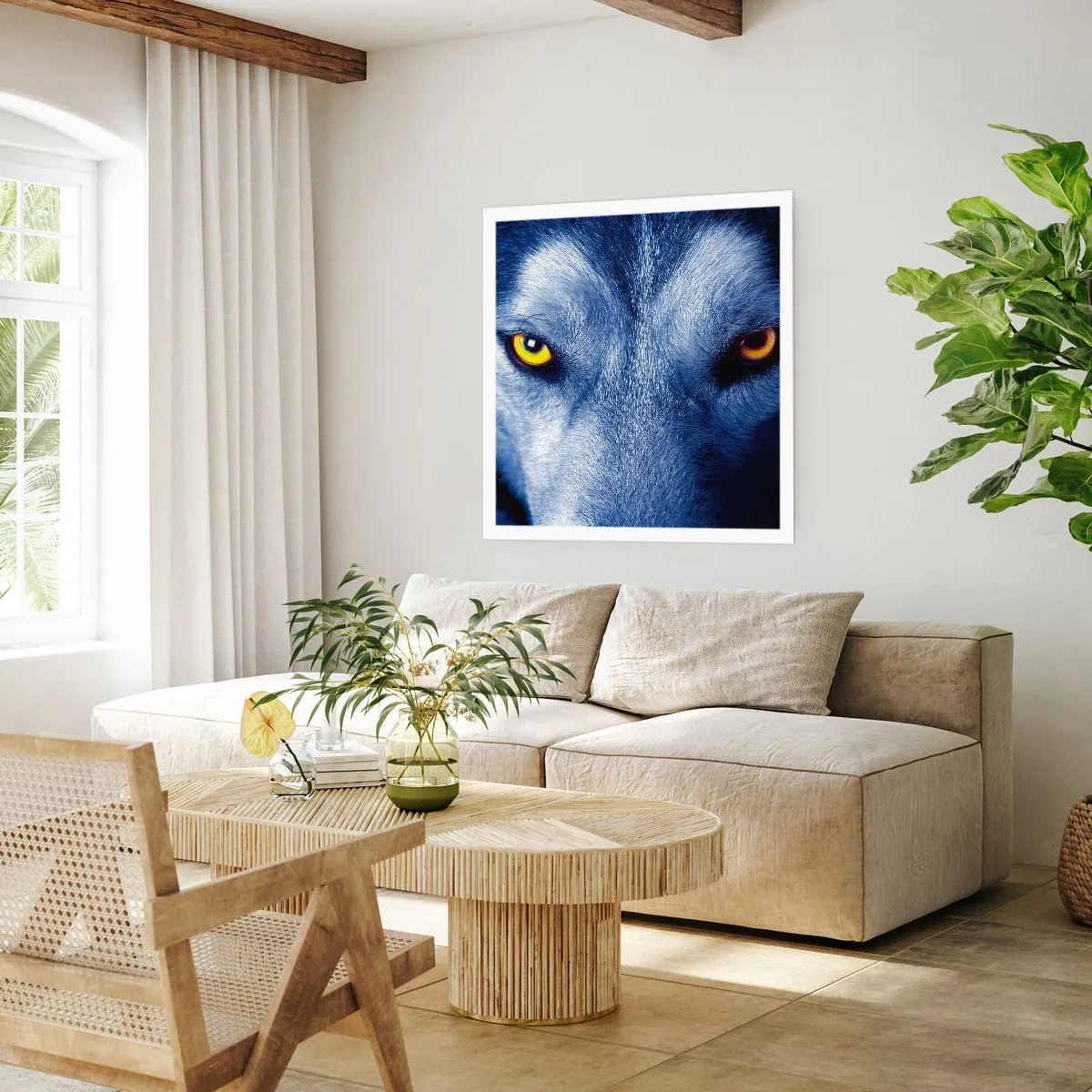 Poster - Sguardo ipnotico - 50x50 cm