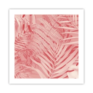 Poster - Concetto rosa - 50x50 cm