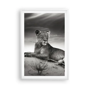 Poster in cornice bianca - Il riposo della regina del deserto - 61x91 cm