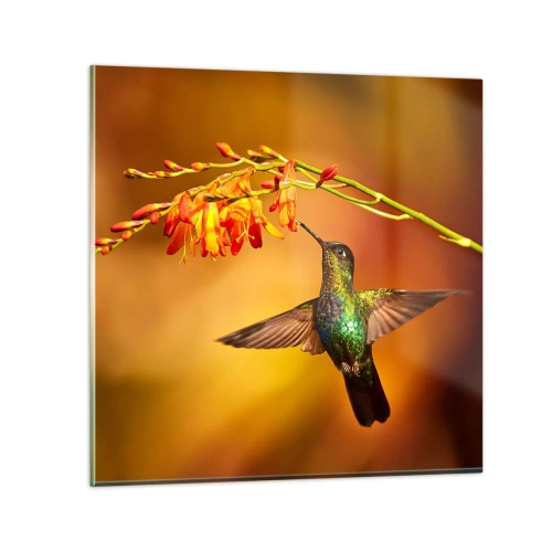 Quadro su vetro - Messaggero di luce secondo i Maya - 30x30 cm