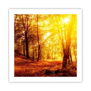 Poster - Verso la radura dorata - 50x50 cm