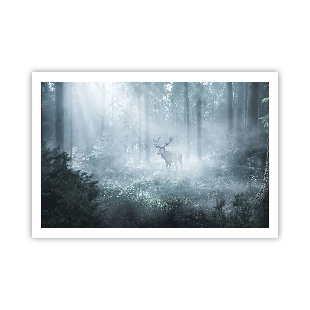 Poster - Passeggiata mattutina sulle sue terre - 91x61 cm