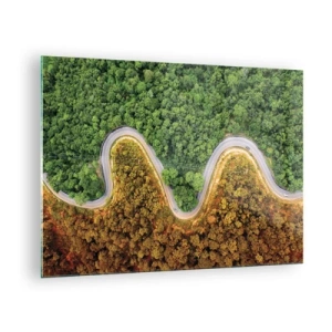 Quadro su vetro - Una strada tortuosa attraverso una fitta foresta vista a volo d'uccello - 70x50cm - Confine e separazione - Decorazione murale moderna per soggiorno e camera da letto ARTTOR