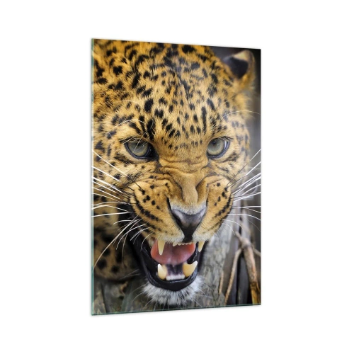 Quadro su vetro - Primo piano di un leopardo minaccioso con le zanne scoperte. - 70x100cm - Non avvicinarti, ti avverto! - Decorazione murale moderna per soggiorno e camera da letto ARTTOR