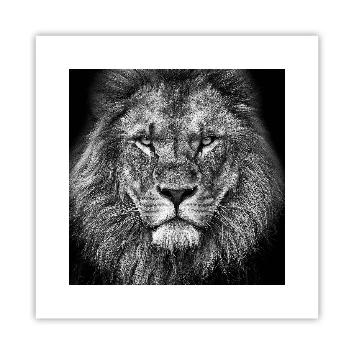 Poster - Nell'abito dell'incoronazione - 30x30 cm