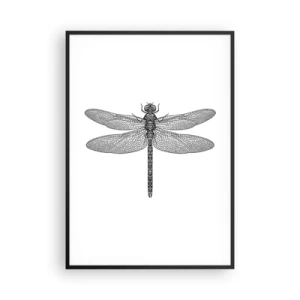 Poster in cornice nera - La precisione della natura - 70x100 cm