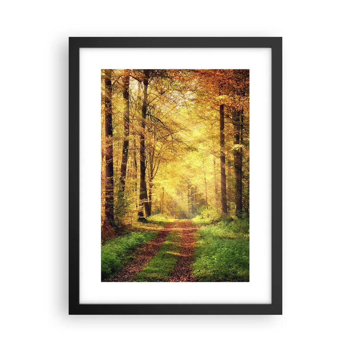 Poster in cornice nera - Il silenzio d'oro del bosco - 30x40 cm