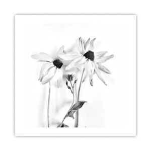 Poster - Nessuno vuole essere solo - 50x50 cm