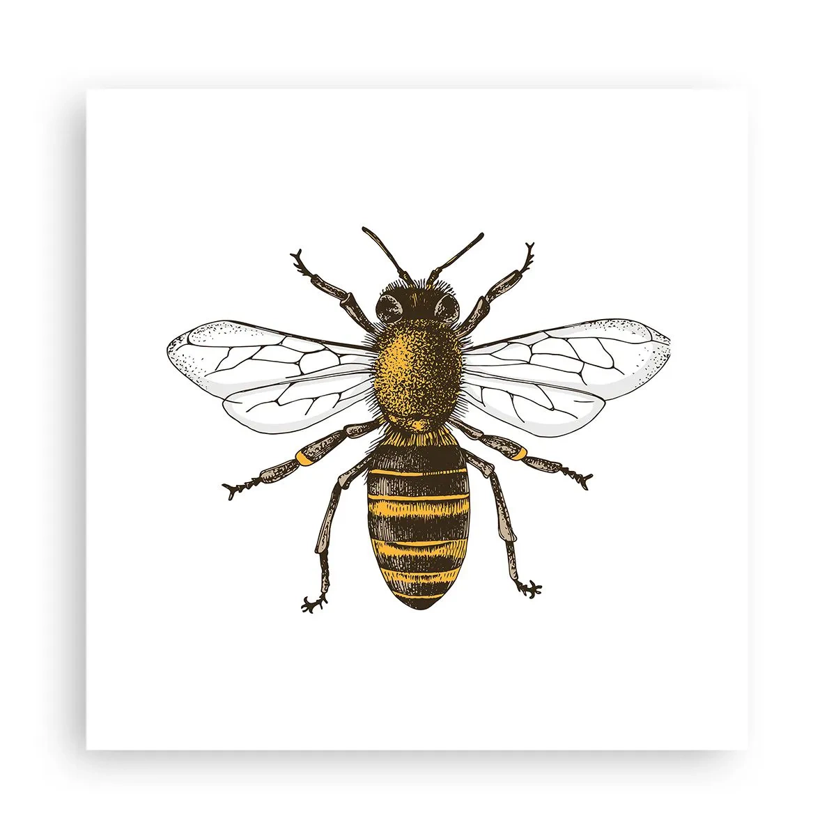 Poster - Bella e buona - 30x30 cm