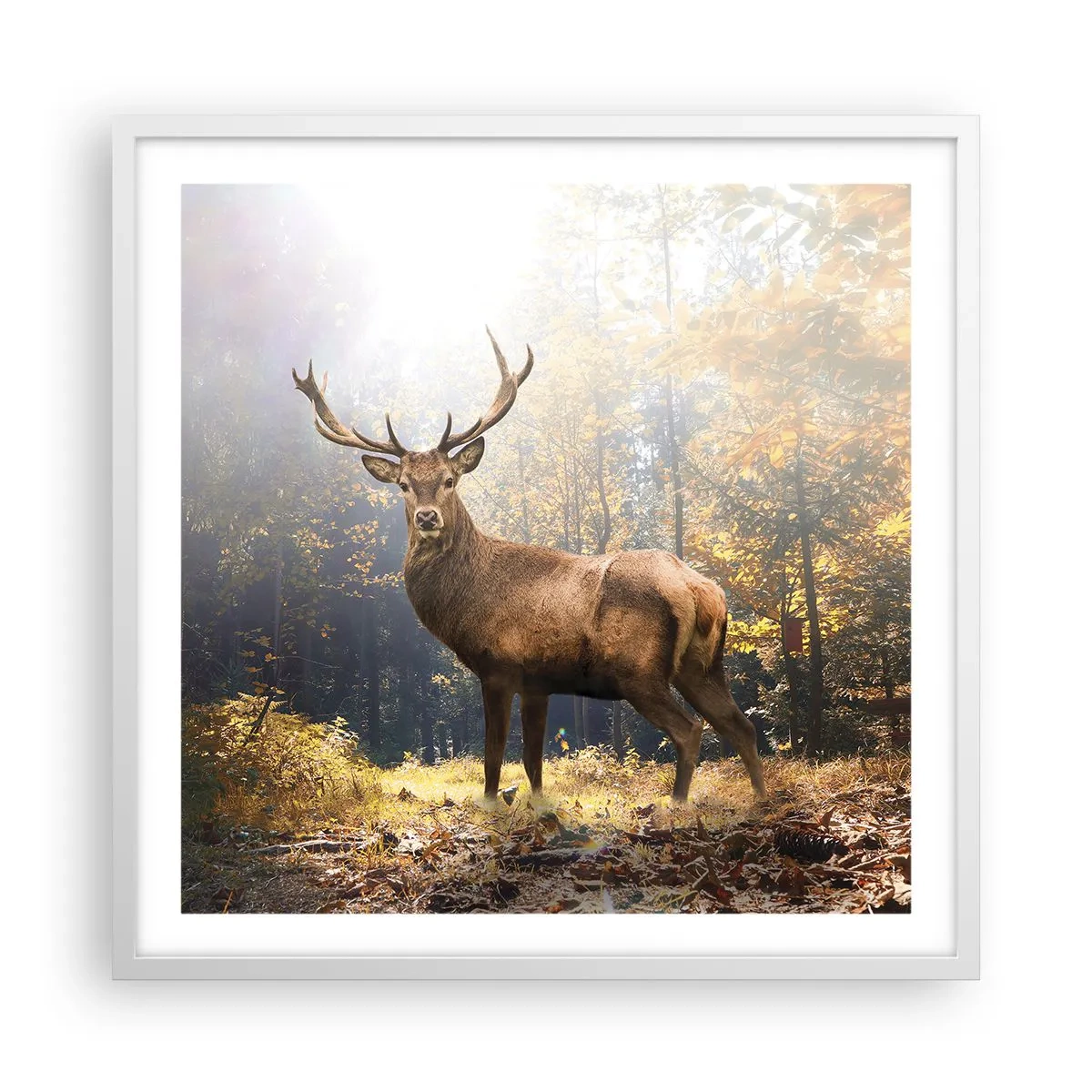 Poster in cornice bianca - Nella piena maestà - 60x60 cm