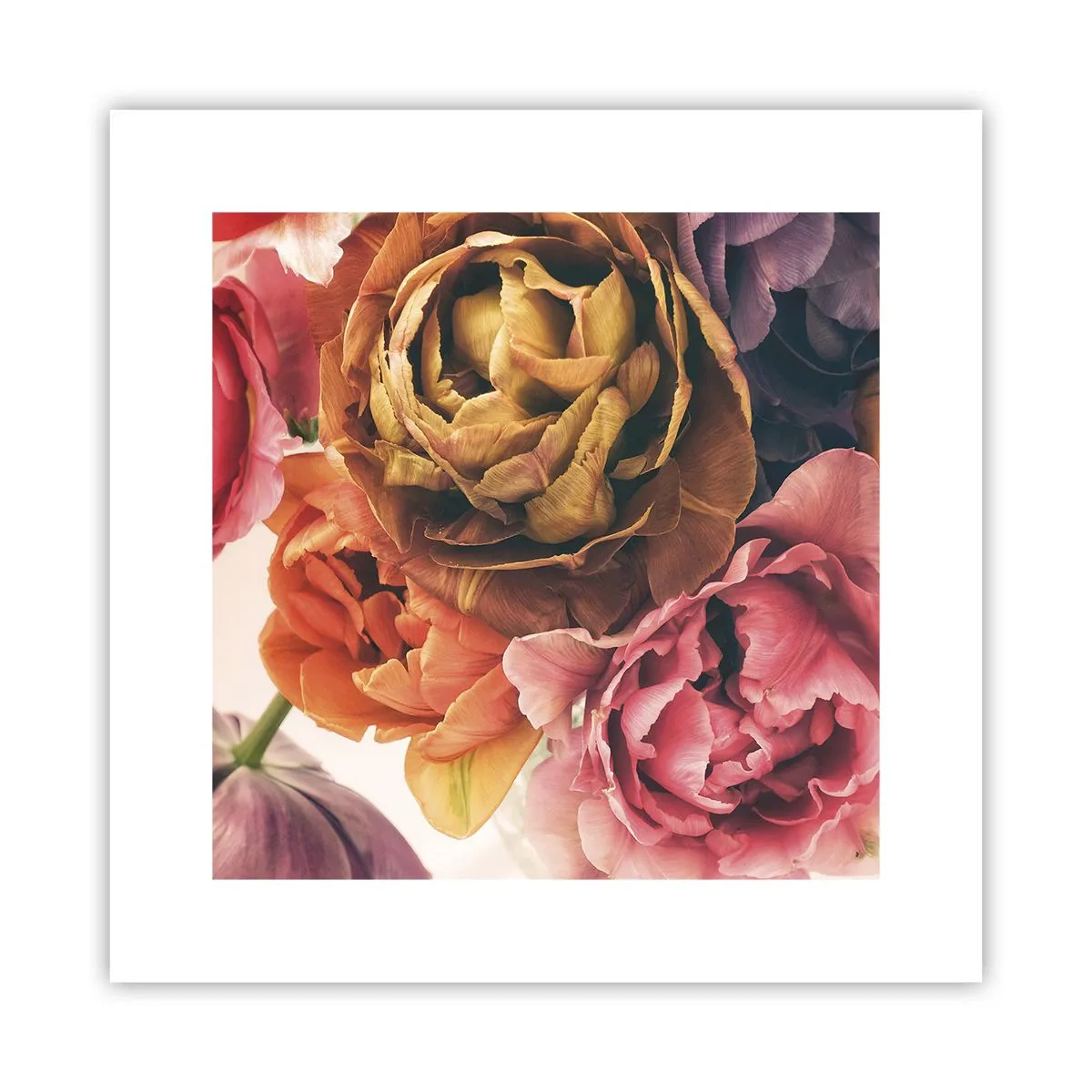 Poster - La festa della vita - 30x30 cm