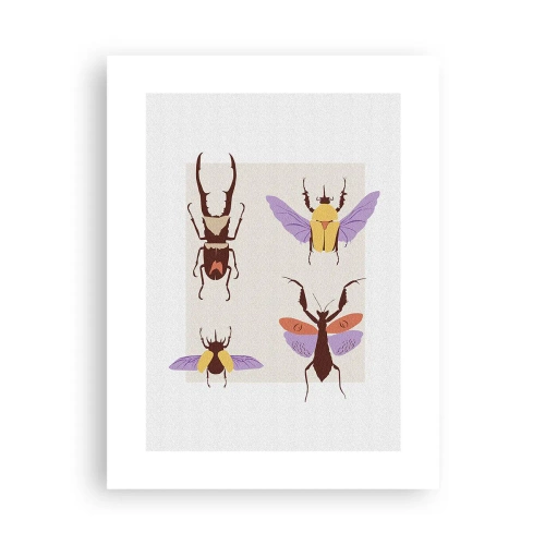 Poster - Il mondo degli insetti - 30x40 cm