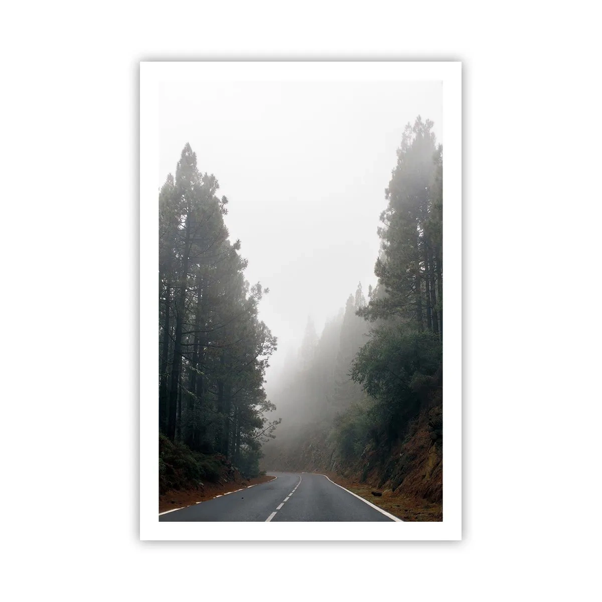 Poster - Il racconto della foresta magica - 61x91 cm