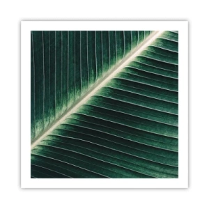 Poster - Il ritmo della natura - 60x60 cm