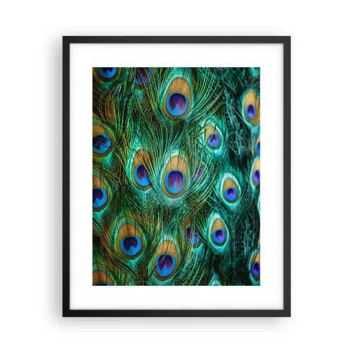 Poster in cornice nera - Lo sguardo del pavone - 40x50 cm