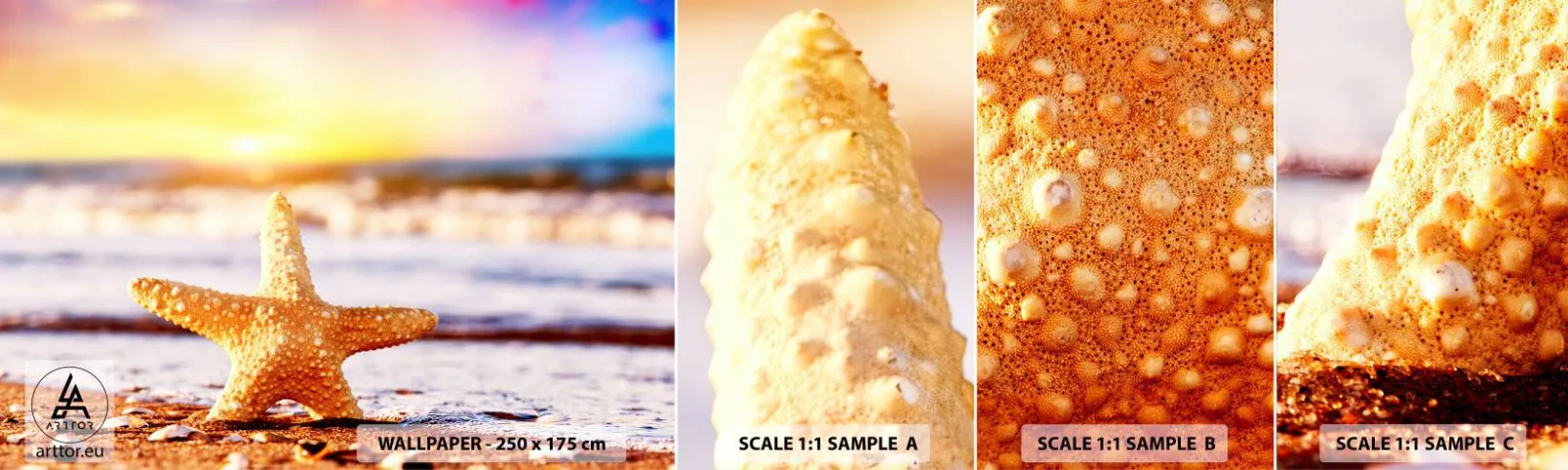 Campione Di Fotomurale Standard Eco - Regalo del mare - Stella marina, Spiaggia, Oceano - 100x30 cm